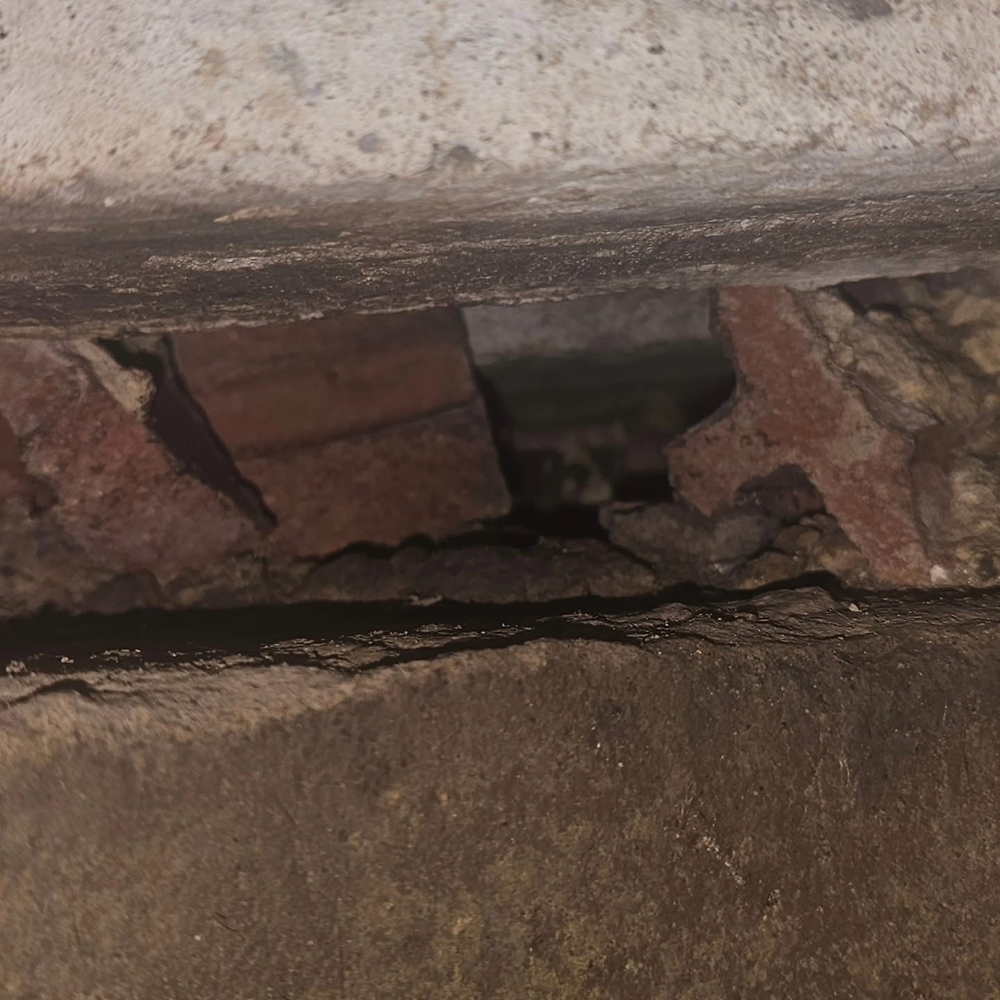 Imperium Pest Control commercial site work